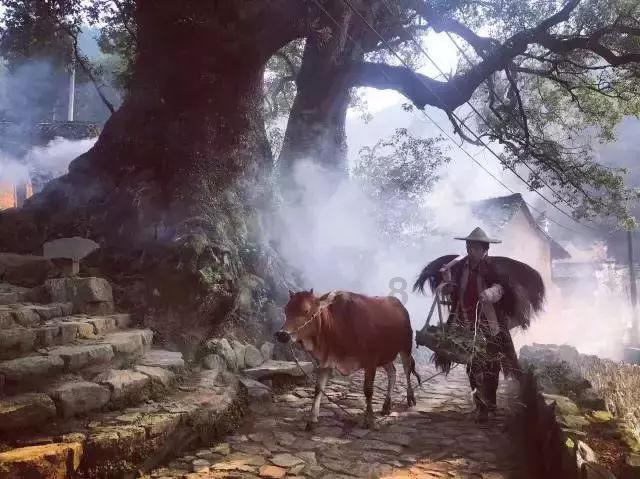 战舰世界闪击战
